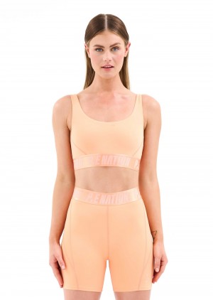 P.E Nation Backcheck Sports Bra Cantaloupe | ZWDUFMJ-82