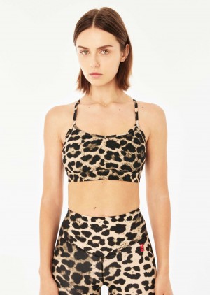 P.E Nation Downforce Reform Sports Bra Animal Print | QLFIXKS-23